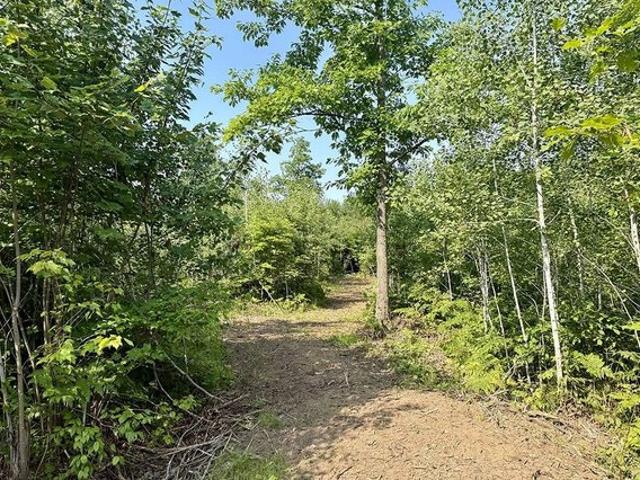 Land for sale in Swiss, Wisconsin