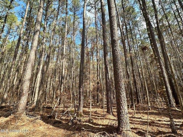 Land for sale in Carthage, Mississippi