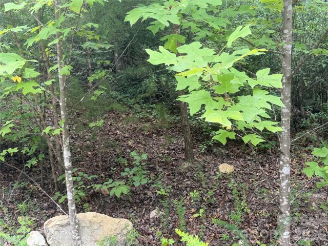Land for sale in Marion, North Carolina