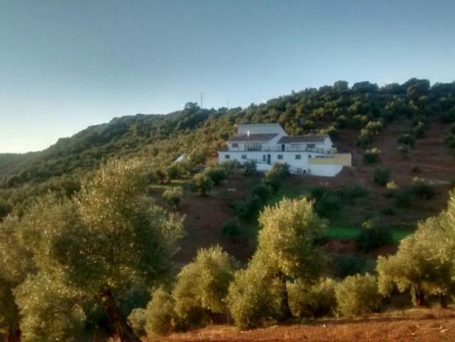 Casa en venta en Montoro, Andalucía