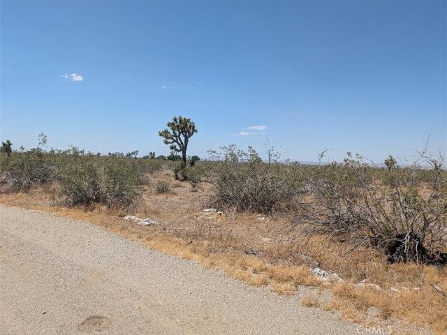Land for sale in Pinon Hills, California
