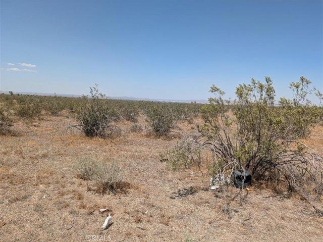 Land for sale in Pinon Hills, California