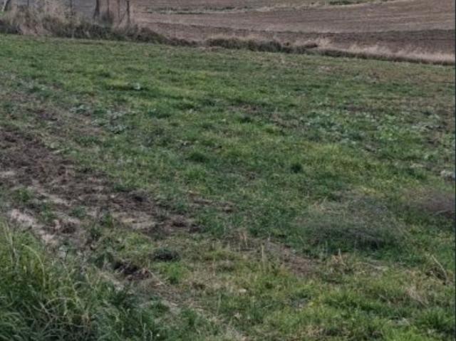 Grunt na sprzedaż w Miechów, Małopolskie