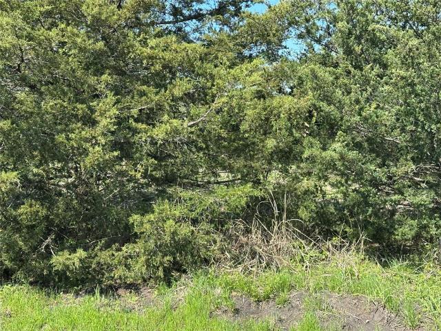 Land for sale in Fannin, Texas