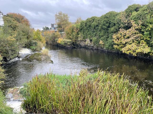 Townhouse for sale in Longford