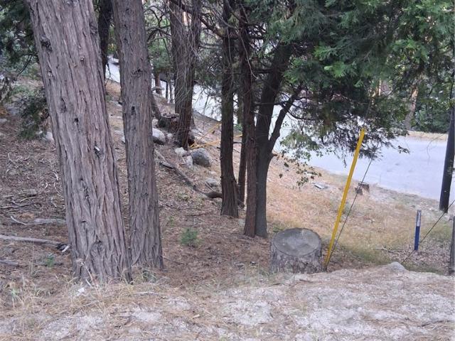 Land for sale in Cedarpines Park, California