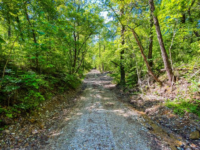 Land for sale in Indiana