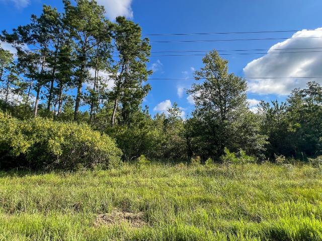 Land for sale in Jasper, Texas