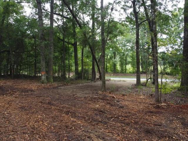 Land for sale in Summerton, South Carolina