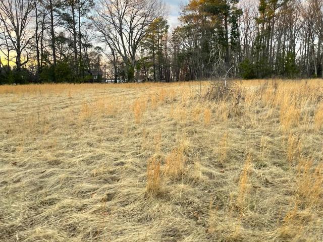 Land for sale in Virginia