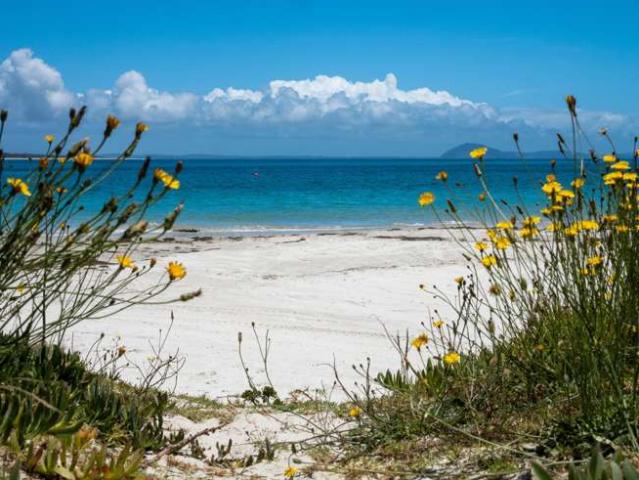 House for sale in Northland