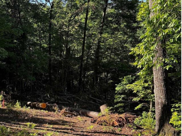 Land for sale in Lake Lanier, Landrum