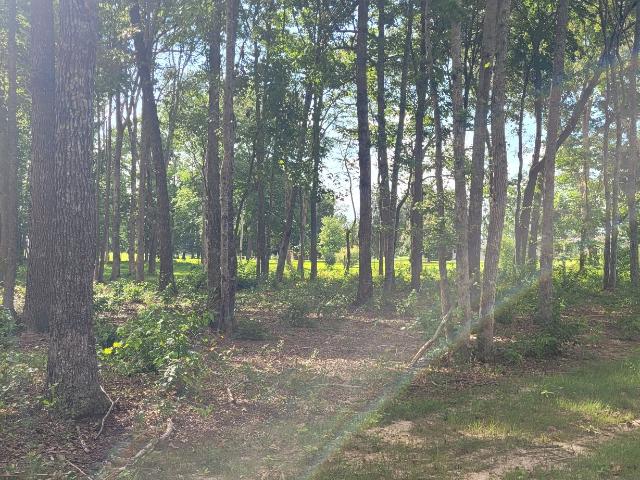 Land for sale in Tennessee