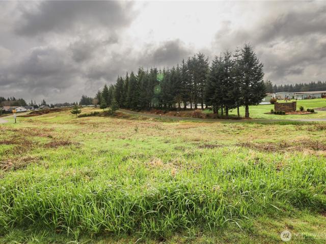 Land for sale in Montesano, Washington