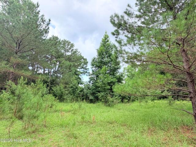 Land for sale in Sneads Ferry, North Carolina