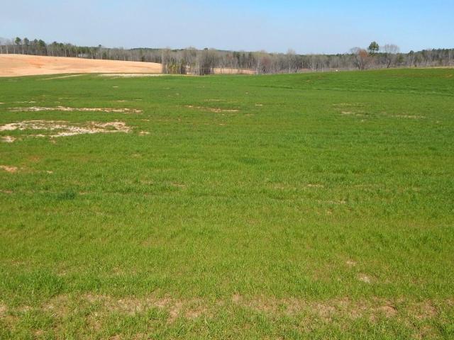 Land for sale in Grenada, Mississippi