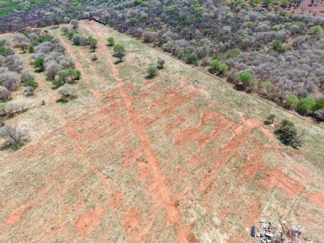 Farm for sale in Limpopo