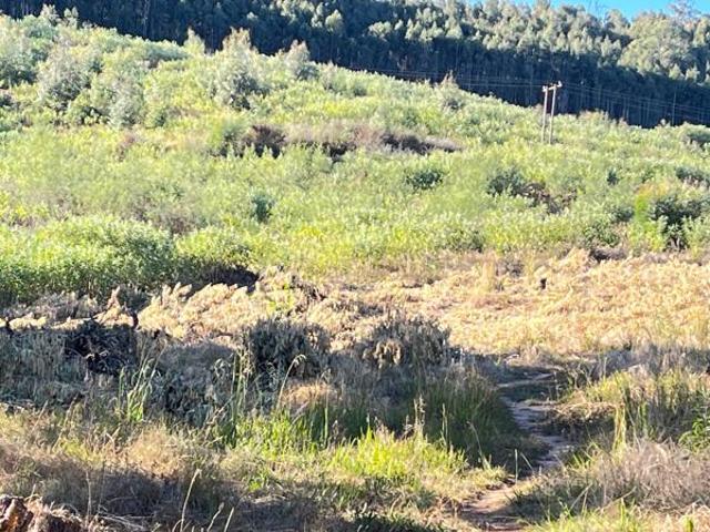 Land for sale in Drakensberg, Kwazulu-natal