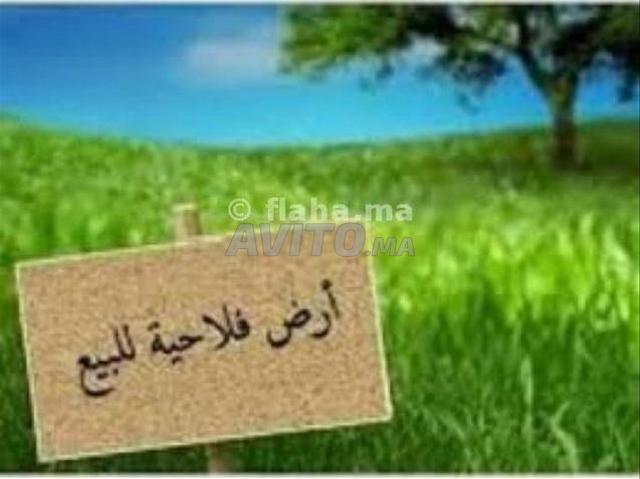 Propriété vente à Mohammedia, Gharb-Chrarda-Beni Hssen