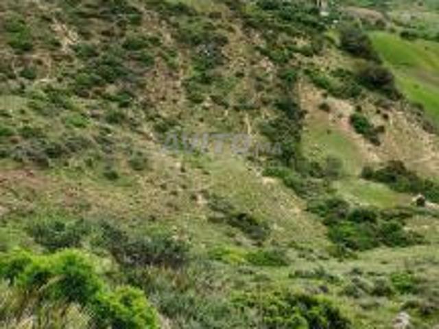 Propriété vente à Tétouan, Tanger-Tétouan