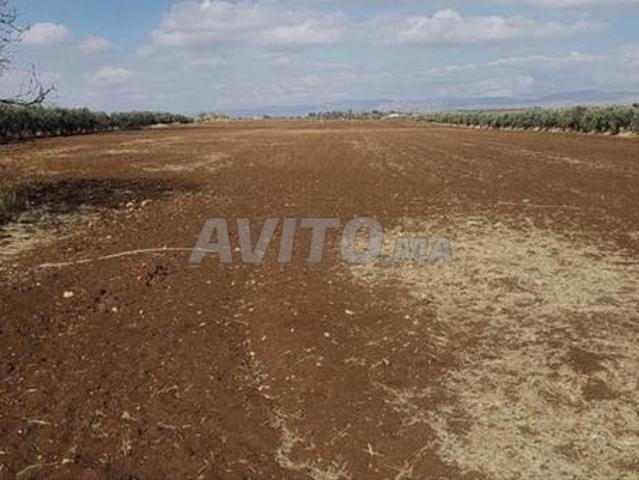 Propriété vente à Meknès