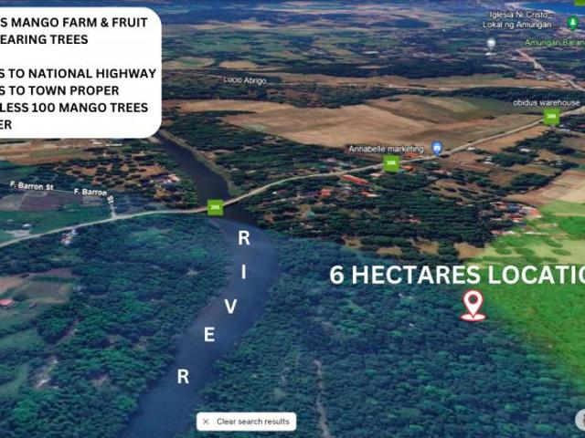 6 hectares Mango Farm Iba Zambales