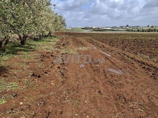 Propriété vente à El Hajeb