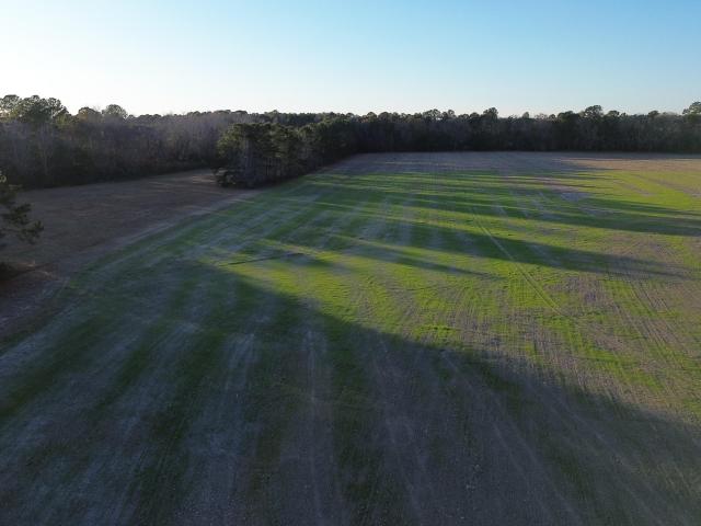 Land for sale in Saint Stephen, South Carolina