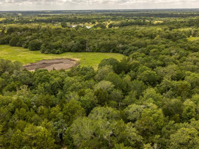 Land for sale in Brenham, Texas