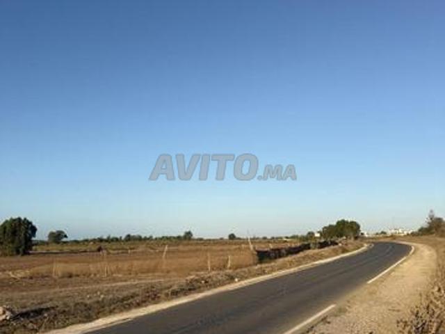 Propriété vente à El Ma, Gharb-Chrarda-Beni Hssen