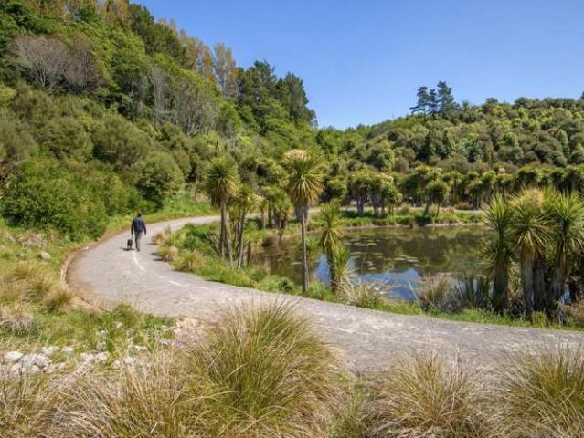 Land for sale in Pyes Pa, Greerton