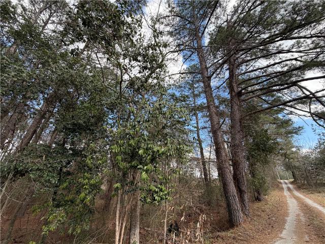 Commercial for sale in Abbeville, South Carolina