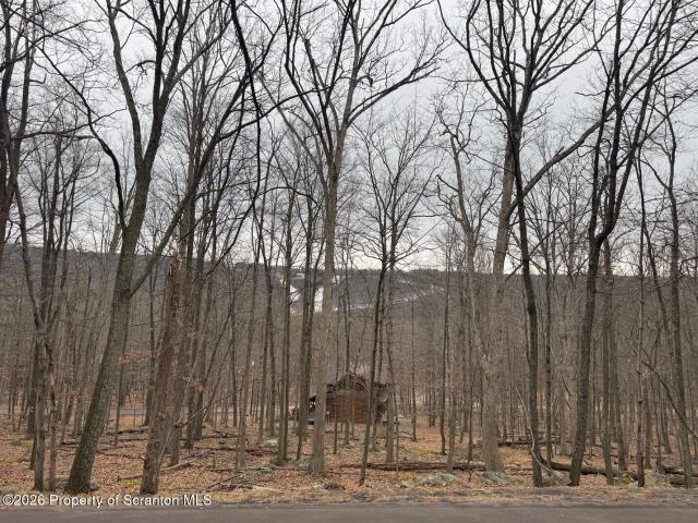 Land for sale in Nuremberg, Pennsylvania