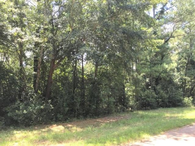 Land for sale in Dougherty, Georgia