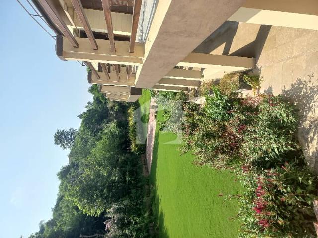 Property for rent in Islamabad