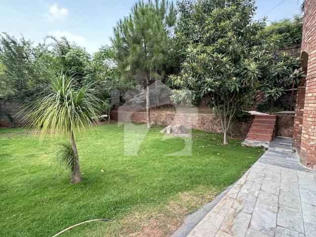 Property for rent in Islamabad