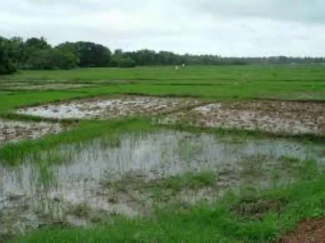 Land for sale in Sahiwal, Islamabad Capital Territory