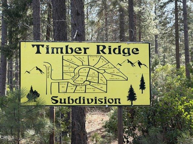 Land for sale in Burney, Shasta County