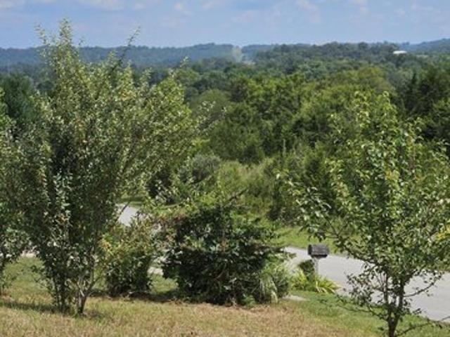 Land for sale in Pendleton, Kentucky