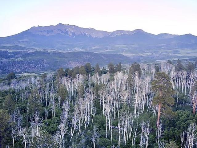 Land for sale in Colorado