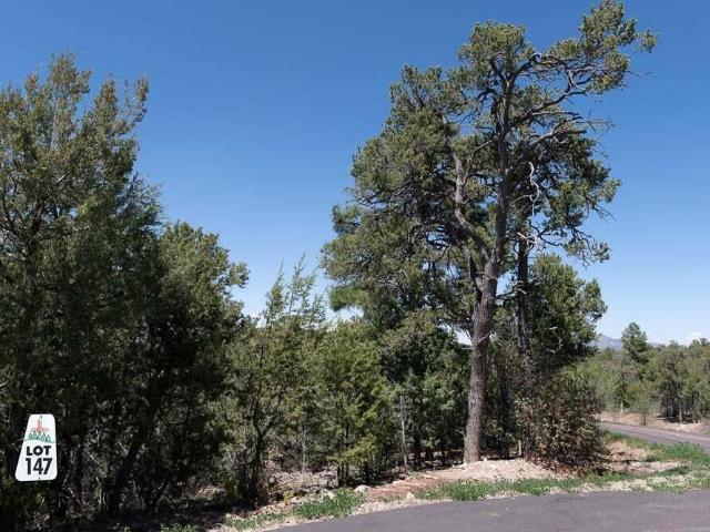 Land for sale in Placitas, New Mexico