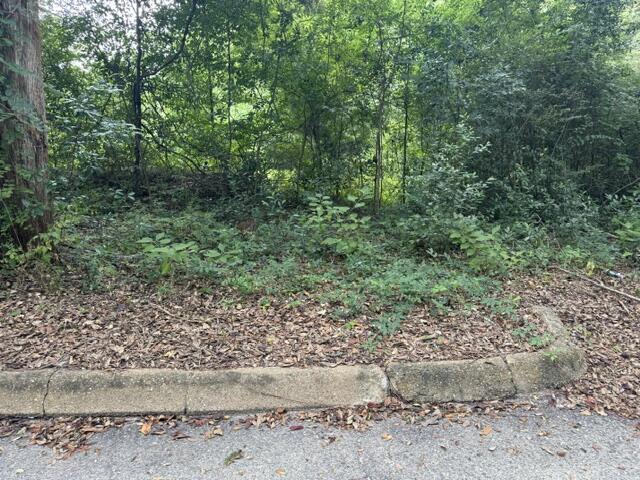 Land for sale in Geneva, Alabama