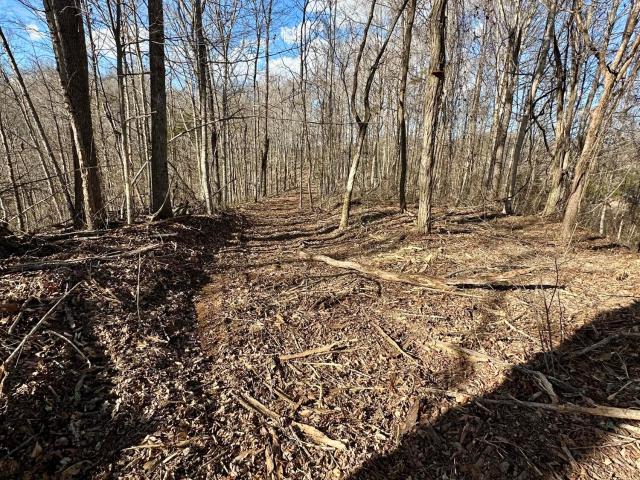 Land for sale in Albany, Kentucky