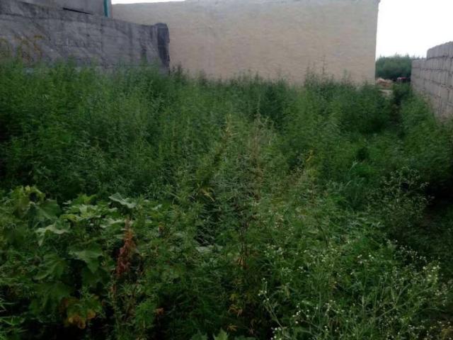 Land for sale in Taxila, Islamabad Capital Territory