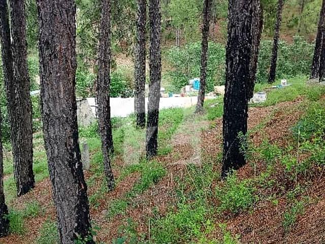 Property for sale in Abbottabad, North West Frontier Province
