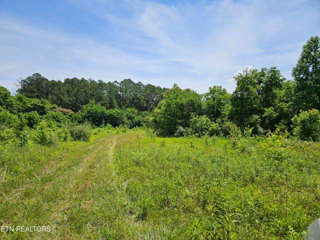 Land for sale in Tennessee