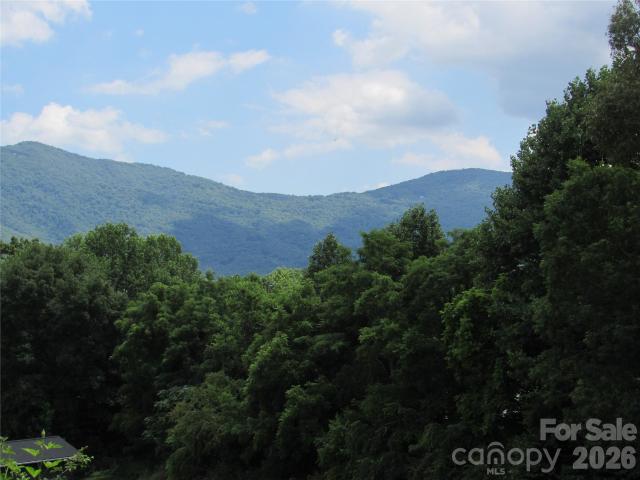 Land for sale in Black Mountain, North Carolina