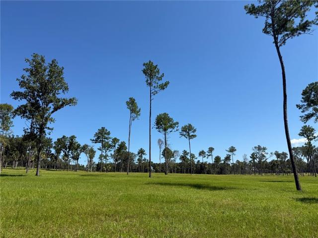 Property for sale in Reddick, Florida