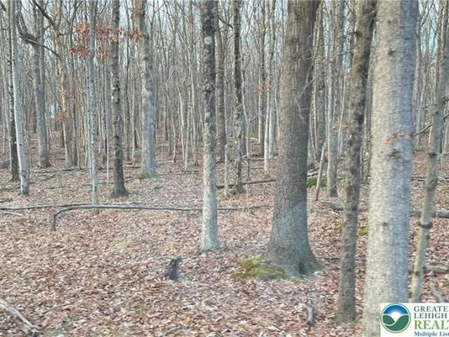 Land for sale in Carbon, Pennsylvania
