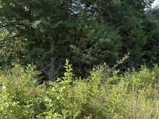 Farm for sale in Tennessee